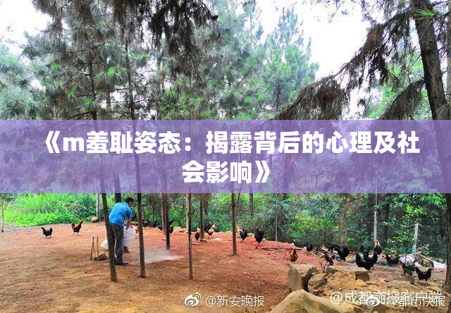 《m羞耻姿态：揭露背后的心理及社会影响》