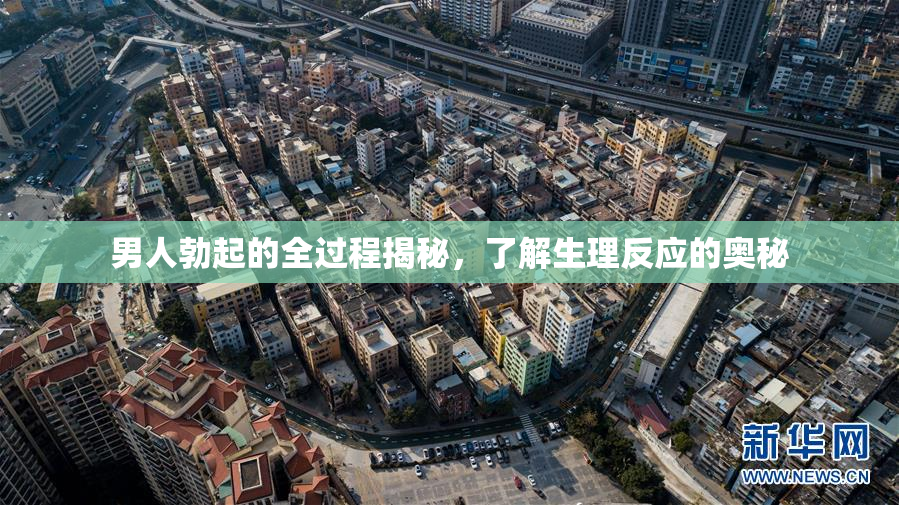 男人勃起的全过程揭秘，了解生理反应的奥秘
