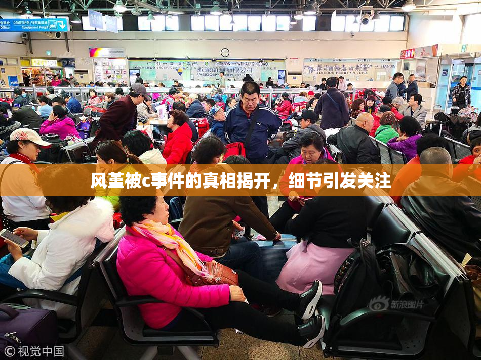 风堇被c事件的真相揭开，细节引发关注
