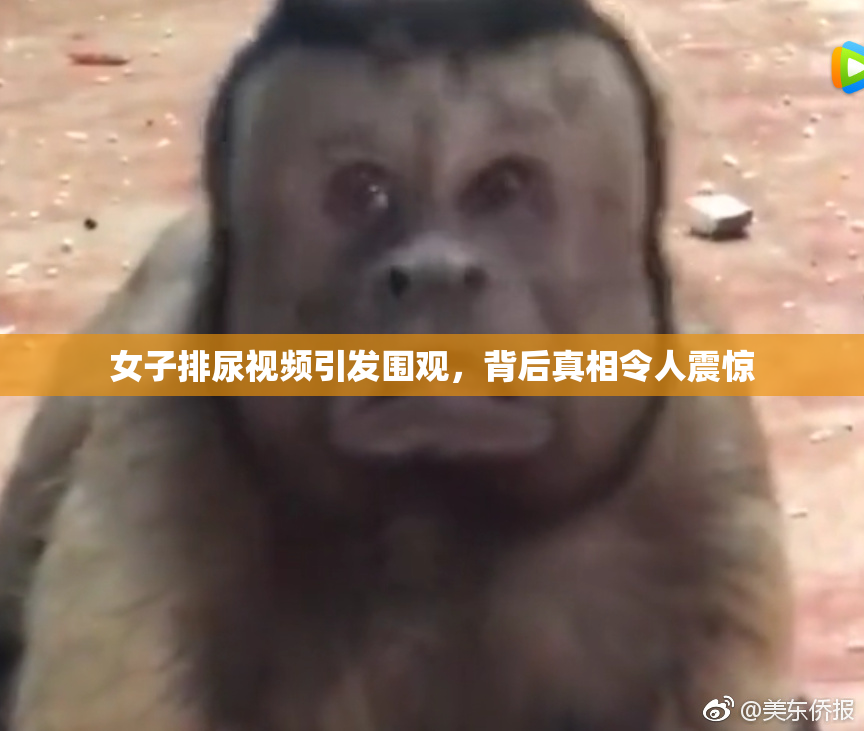 女子排尿视频引发围观，背后真相令人震惊