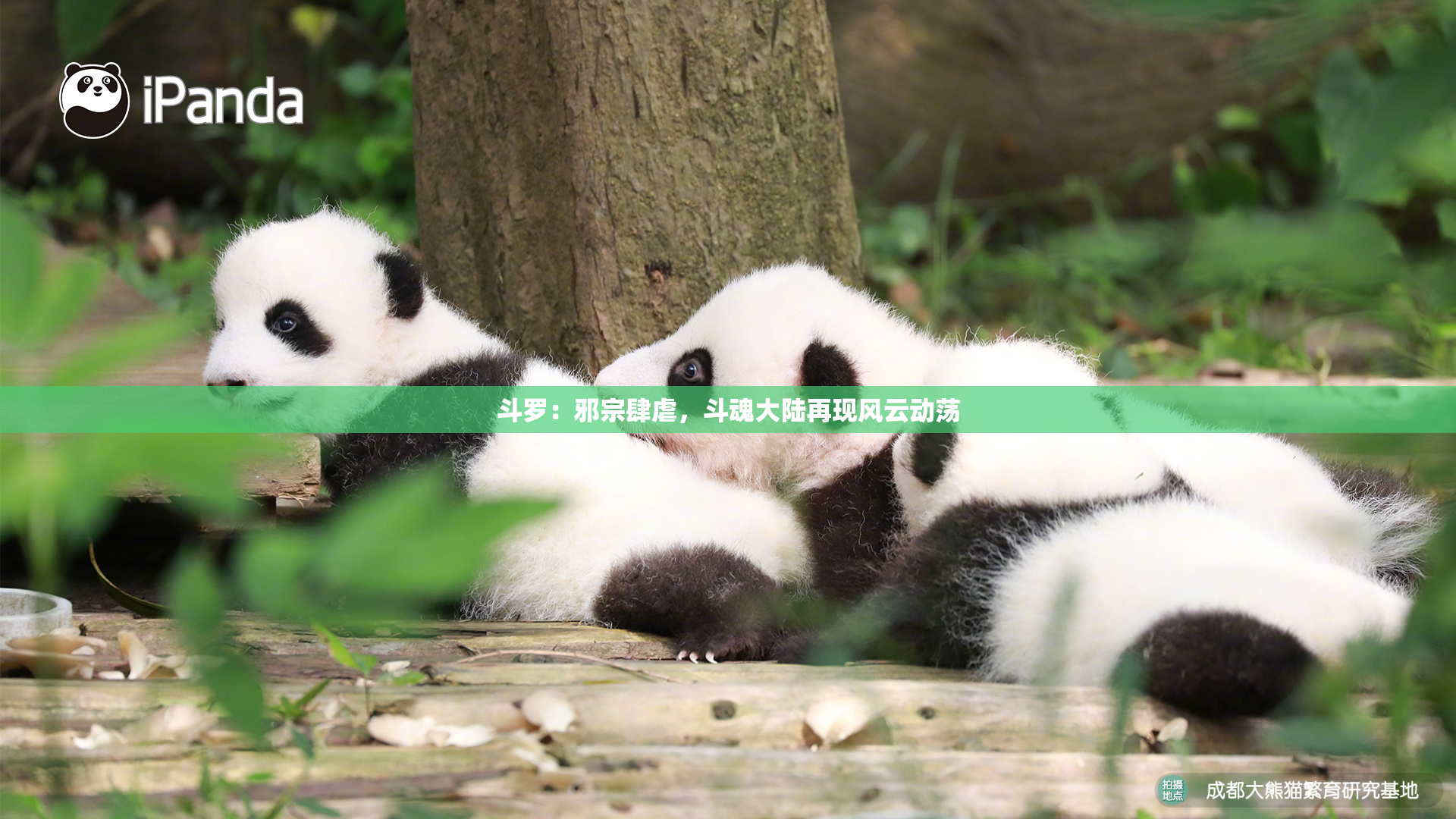 斗罗：邪宗肆虐，斗魂大陆再现风云动荡