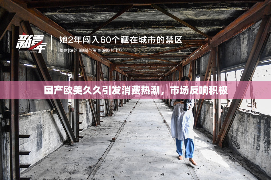 国产欧美久久引发消费热潮，市场反响积极