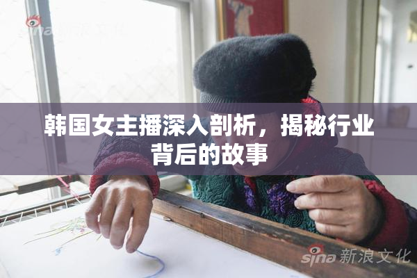 韩国女主播深入剖析，揭秘行业背后的故事