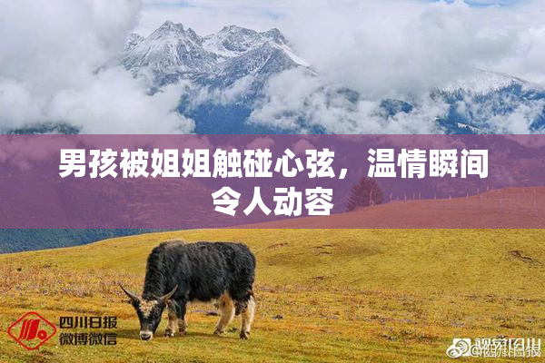 男孩被姐姐触碰心弦，温情瞬间令人动容