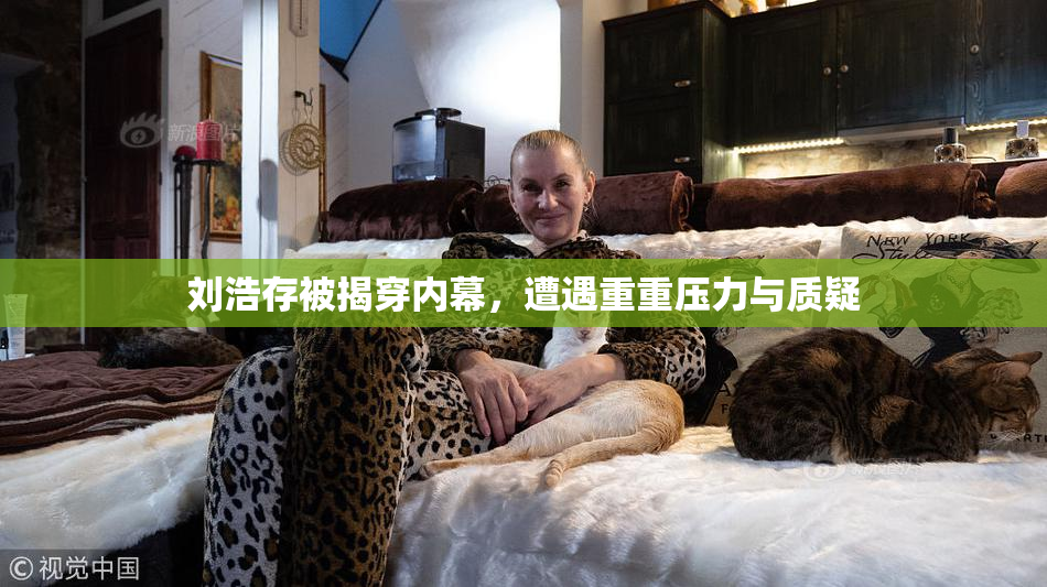 刘浩存被揭穿内幕，遭遇重重压力与质疑