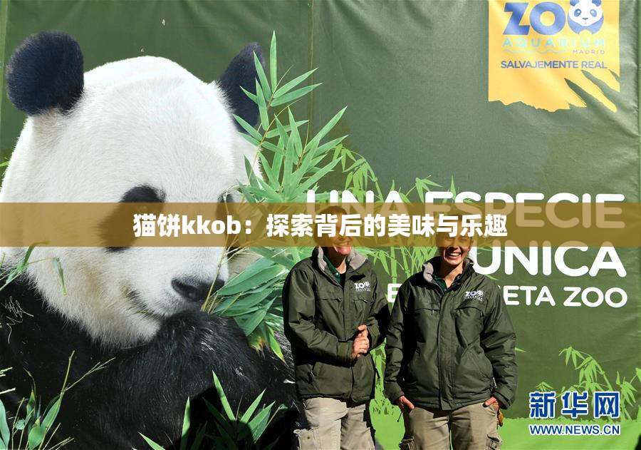 猫饼kkob：探索背后的美味与乐趣