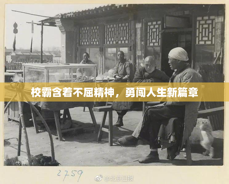 校霸含着不屈精神，勇闯人生新篇章