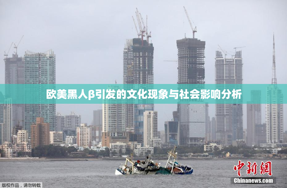 欧美黑人β引发的文化现象与社会影响分析