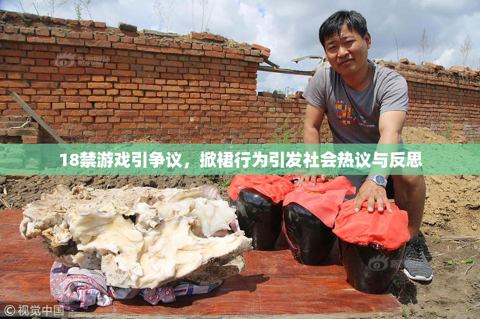 18禁游戏引争议，掀裙行为引发社会热议与反思