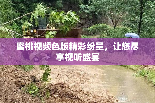 蜜桃视频色版精彩纷呈，让您尽享视听盛宴