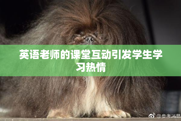 英语老师的课堂互动引发学生学习热情