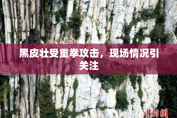 黑皮壮受重拳攻击，现场情况引关注
