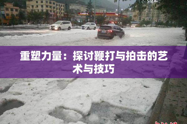 重塑力量：探讨鞭打与拍击的艺术与技巧