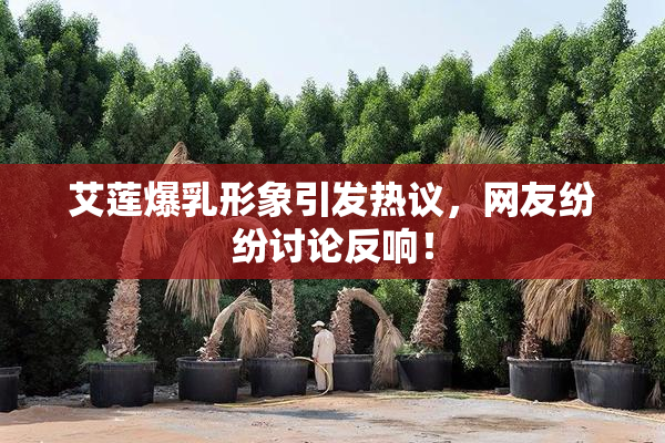 艾莲爆乳形象引发热议，网友纷纷讨论反响！
