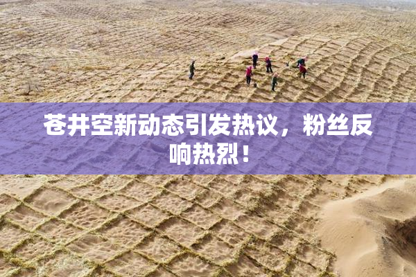 苍井空新动态引发热议，粉丝反响热烈！