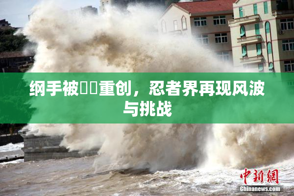 纲手被❌‌重创，忍者界再现风波与挑战
