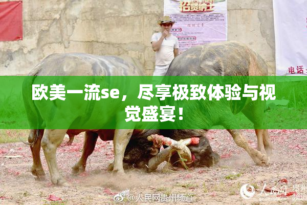欧美一流se，尽享极致体验与视觉盛宴！