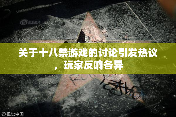 关于十八禁游戏的讨论引发热议，玩家反响各异