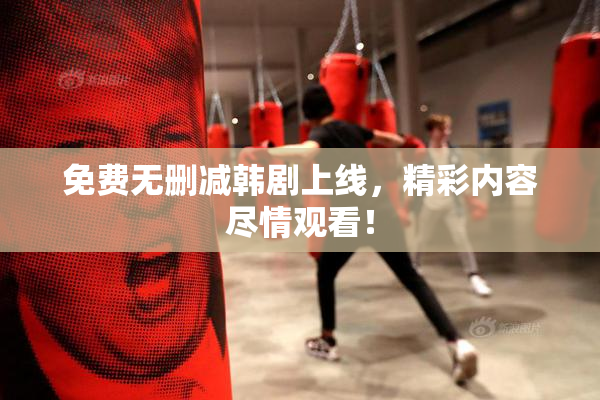 免费无删减韩剧上线，精彩内容尽情观看！