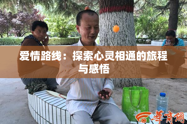 爱情路线：探索心灵相通的旅程与感悟