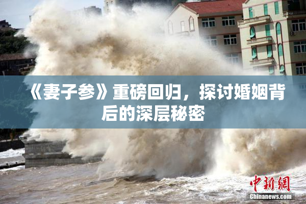 《妻子参》重磅回归，探讨婚姻背后的深层秘密