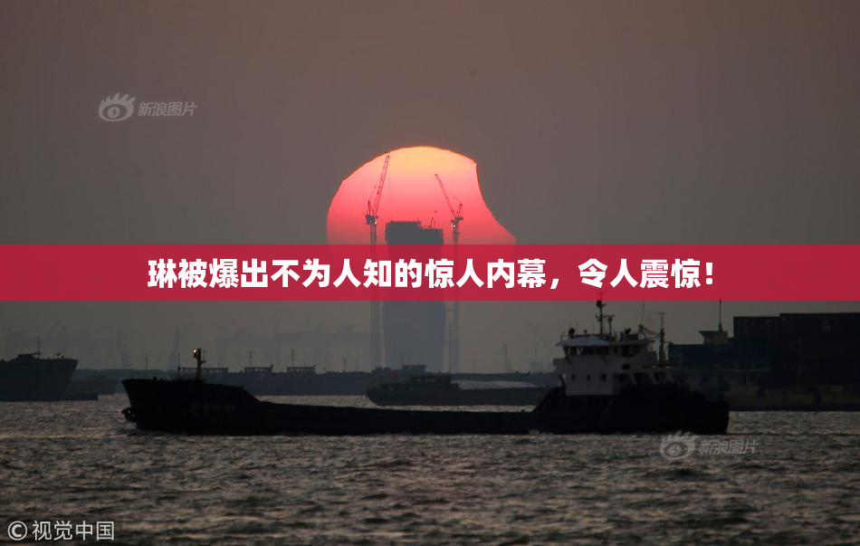 琳被爆出不为人知的惊人内幕，令人震惊！
