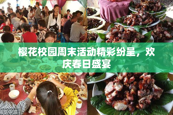 樱花校园周末活动精彩纷呈，欢庆春日盛宴