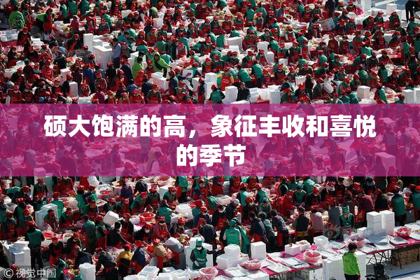 硕大饱满的高，象征丰收和喜悦的季节