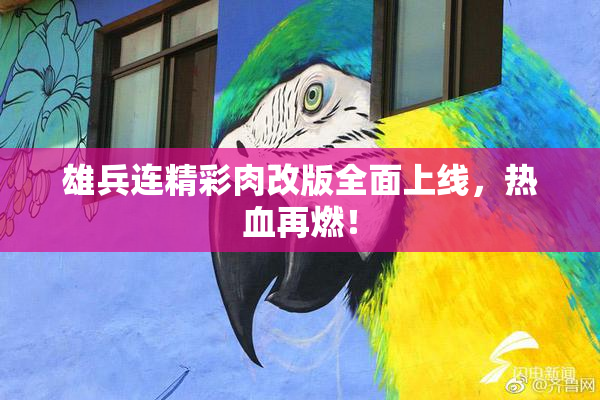 雄兵连精彩肉改版全面上线，热血再燃！