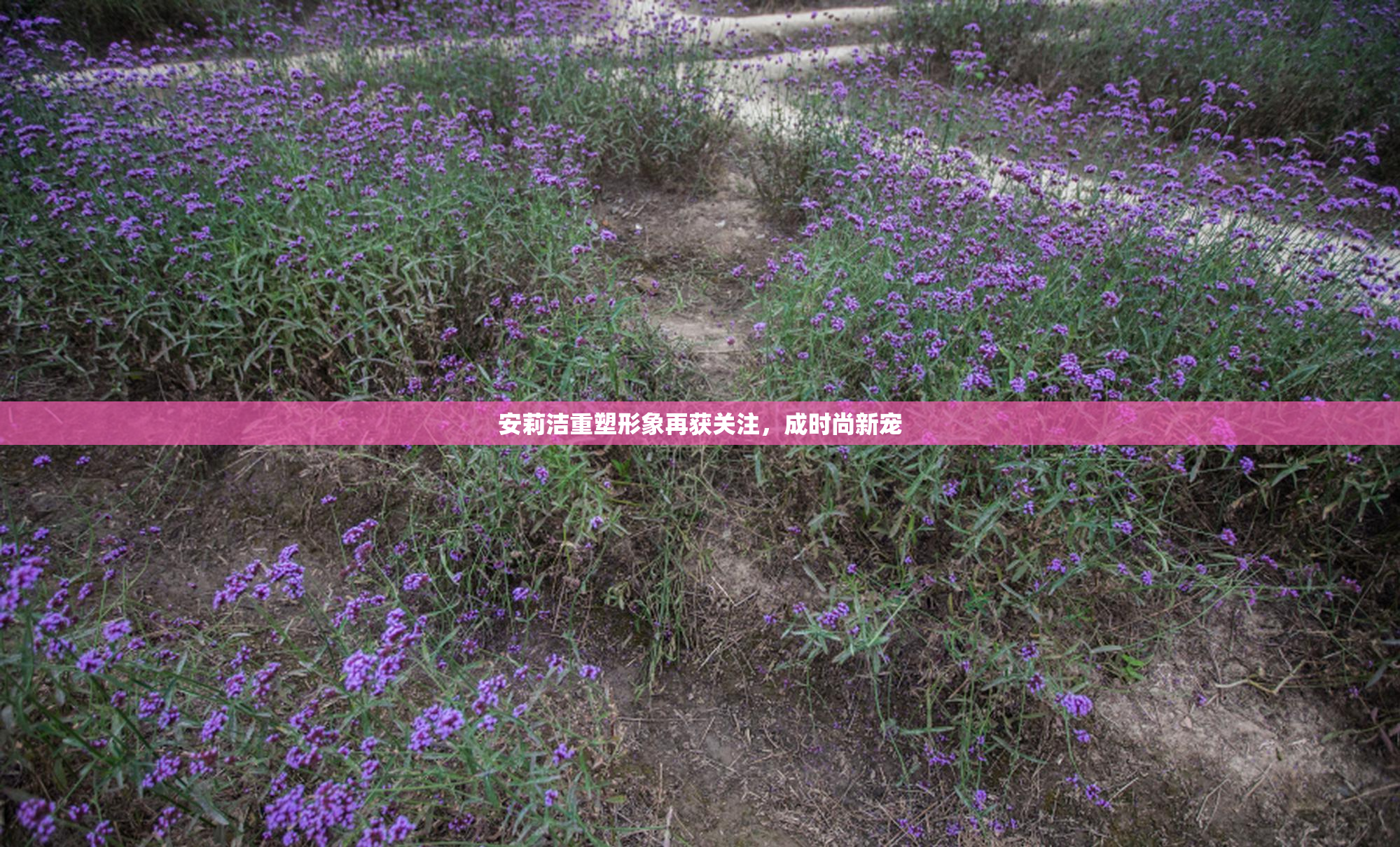 安莉洁重塑形象再获关注，成时尚新宠