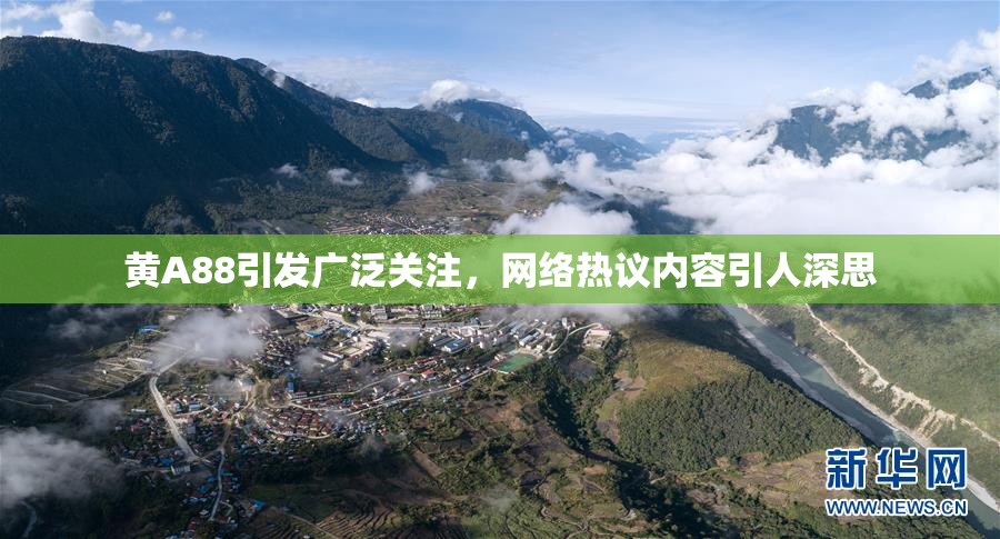 黄A88引发广泛关注，网络热议内容引人深思