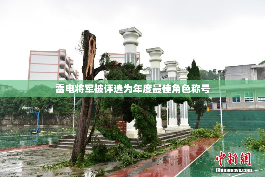 雷电将军被评选为年度最佳角色称号