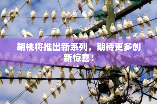 胡桃将推出新系列，期待更多创新惊喜！