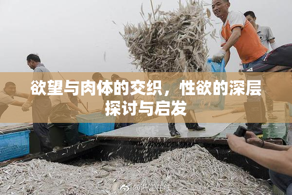 欲望与肉体的交织，性欲的深层探讨与启发