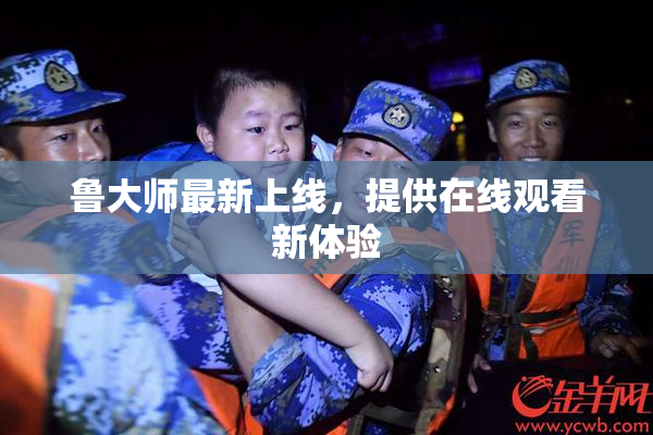 鲁大师最新上线，提供在线观看新体验