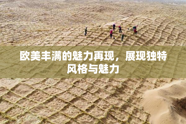 欧美丰满的魅力再现，展现独特风格与魅力