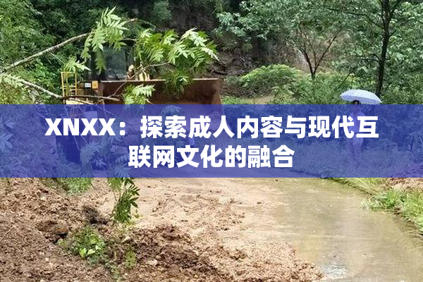 XNXX：探索成人内容与现代互联网文化的融合