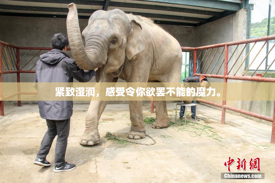 紧致湿润，感受令你欲罢不能的魔力。