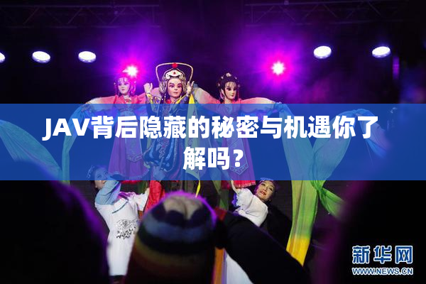 JAV背后隐藏的秘密与机遇你了解吗？