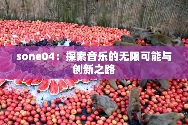 sone04：探索音乐的无限可能与创新之路