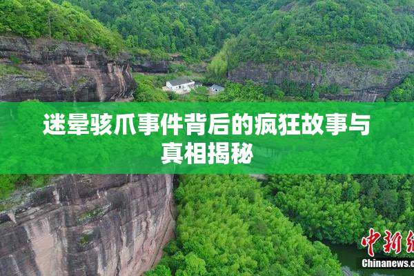 迷晕骇爪事件背后的疯狂故事与真相揭秘