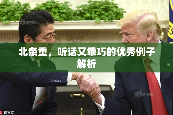 北条重，听话又乖巧的优秀例子解析