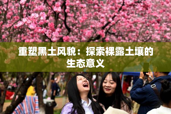 重塑黑土风貌：探索裸露土壤的生态意义