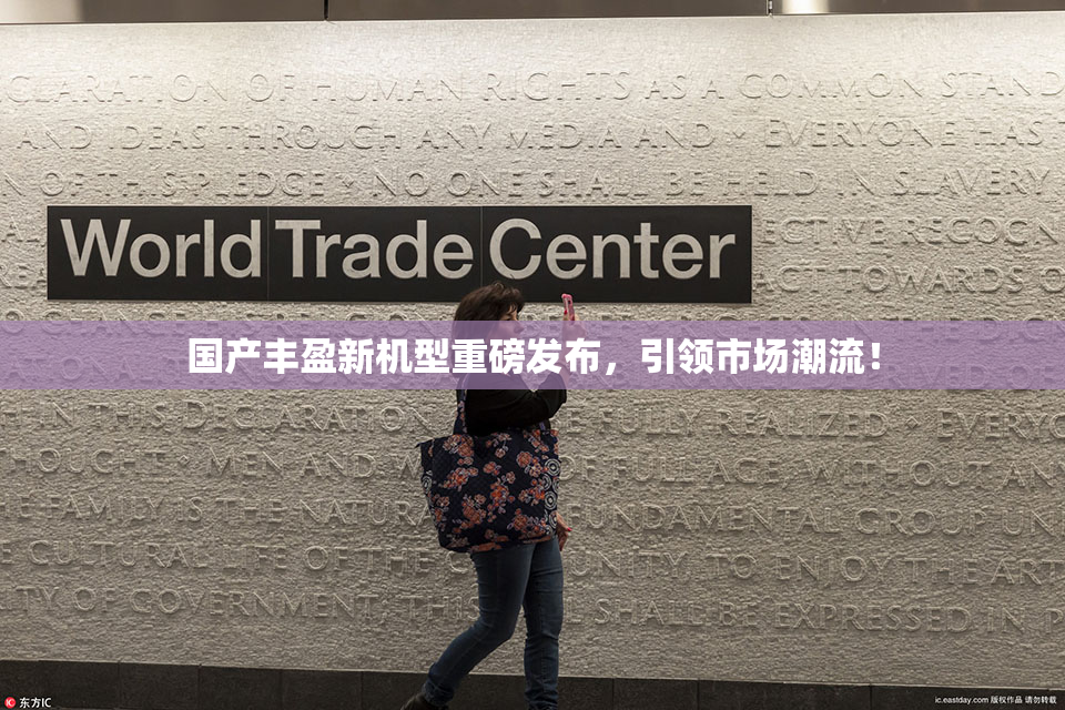 国产丰盈新机型重磅发布，引领市场潮流！