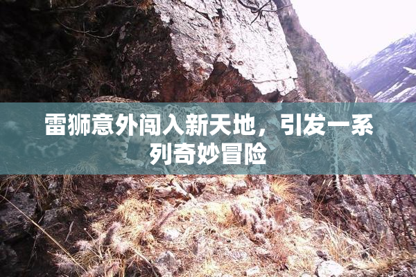 雷狮意外闯入新天地，引发一系列奇妙冒险