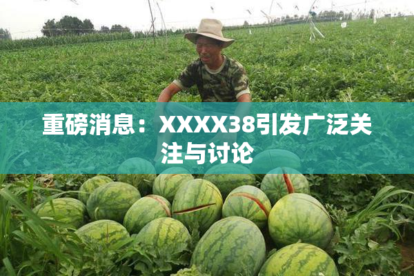 重磅消息：XXXX38引发广泛关注与讨论
