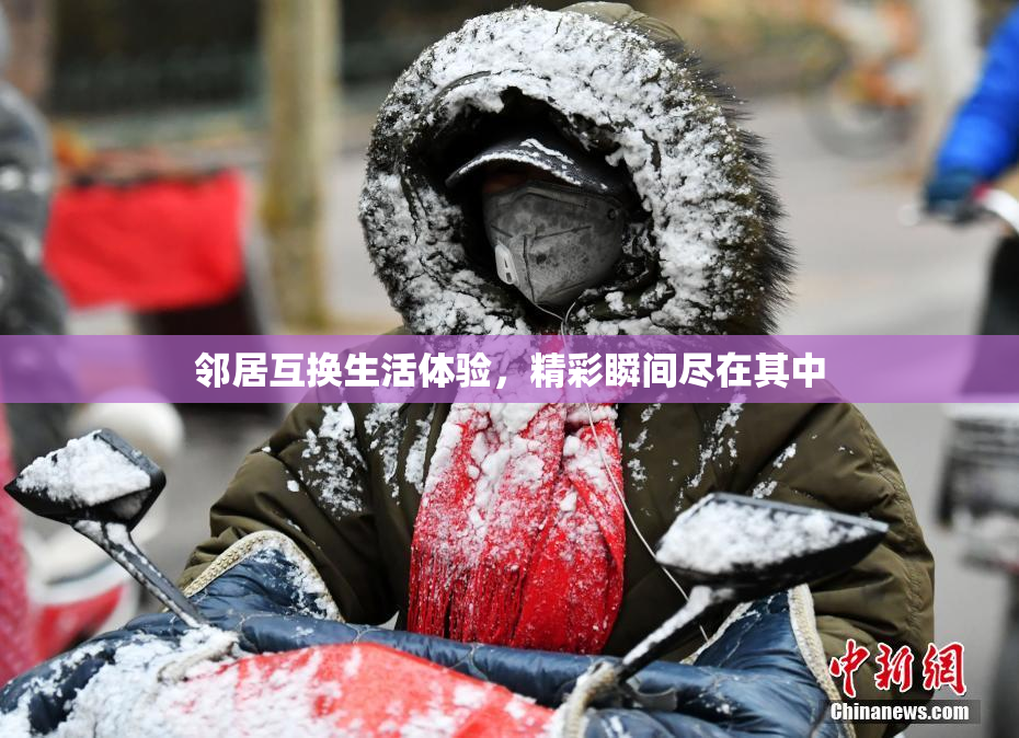 邻居互换生活体验，精彩瞬间尽在其中
