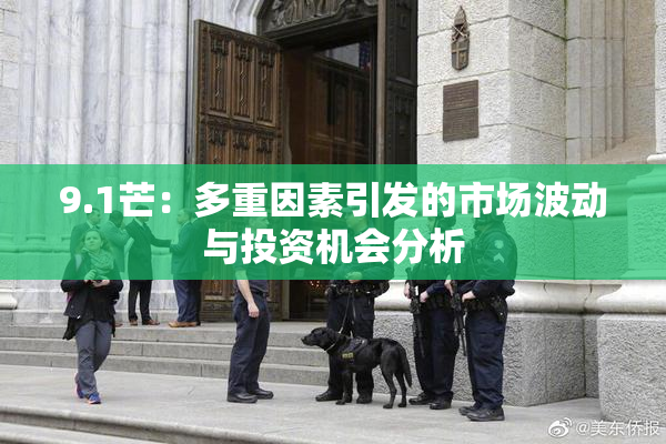 9.1芒：多重因素引发的市场波动与投资机会分析