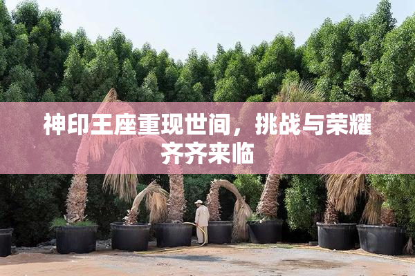 神印王座重现世间，挑战与荣耀齐齐来临