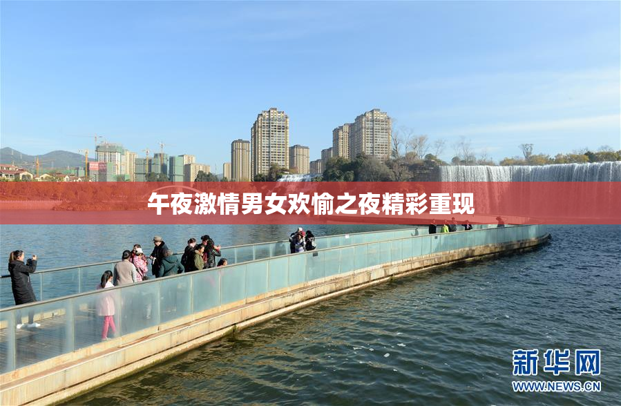 午夜激情男女欢愉之夜精彩重现